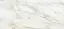 APAVISA BORGHINI WHITE POLISHED 119.3х260 G-3467