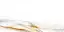 COLORKER CALACATTA GOLD WHITE POLISHED 60х120 M-79