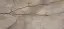 APAVISA WILD FOREST GREY POLISHED BL-B 119.3х260 G-3495