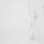 PORCELANOSA CARRARA BLANCO BRILLO L 59.6х59.6 G-347