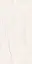 Monaco Liniar Bianco carving 60x120