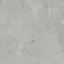 Fossil Gris 2 cm 60x60