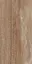 Tolanto TL03 brown лаппатированный 60x120 ZZ