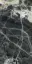 Onice Nero Lucidato (Shiny) 6 mm |150x300