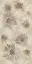 BLOOM6 12 RM (п.п.) ZZ 60x120