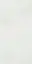 Paint White |60x120