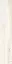 Daring Ivory |24x120