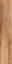 Daring Nut |24x120