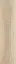 Hard Cream |15x61