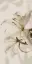 Gioia Decoro Lilium (6pz) ZZ|60x120