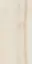 Akoya Ivory 60120 |60x120