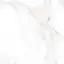 Extra white PG 01 60х60