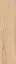 Oslo beige PG 01 |12.5x50