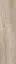 Nordland beige PG 02  12.5x50