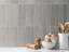 Гранит керамический 32456 BAMBOO Gris 5,6х22,4 см