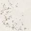 Гранит керамический AWEN WHITE DECOR NT/90X90/C/R 90x90x0,9 см