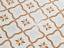 Гранит керамический 40462 LLEVANT CLAY PETALS LT 22,3х22,3 см