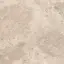 Керамический гранит  ERA BLOOM. TAUPE NAT R120X120