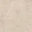 Керамический гранит  ERA DELIC. TAUPE NAT R120X120