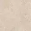 Керамический гранит  ERA DELIC. TAUPE NAT R120X120