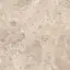 Керамический гранит  ERA BLOOM. TAUPE NAT R120X120