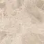Керамический гранит  ERA BLOOM. TAUPE NAT R120X120
