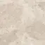 Керамический гранит  ERA BLOOM. BEIGE NAT R120X120