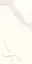 Керамогранит Ariostea Marmi Classici P612527 Bianco Calacata Soft F8404 60x120
