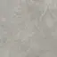 Керамогранит Porcelanosa Fiori DI Bosco Nat.PV6 (A) 100331051 120x120